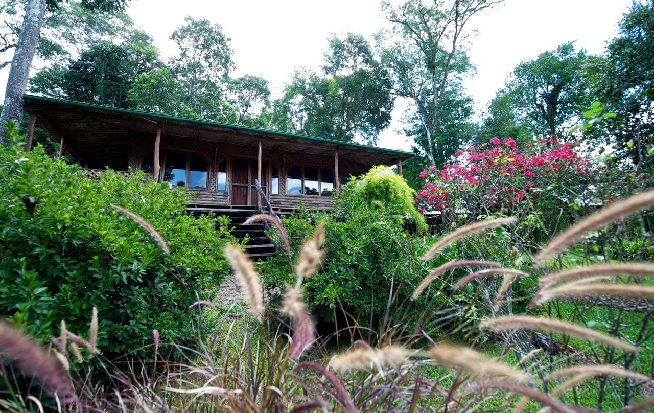 La Mision Mocona - Lodge De Selva Saltos del Moconá Cameră foto
